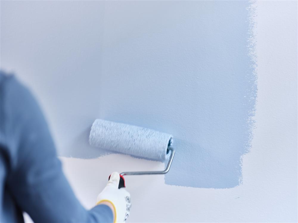 Description: Dulux-Colour-Futures-Colour-of-the-Year-2022-painting-Behind%20the%20scene-Global_DSF3666.jpeg